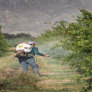 MANEJO Y USO DE PLAGUICIDAS AGRICOLAS